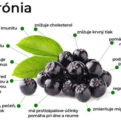 na obszásku su plody Arónie v BIO kvalite ZAMIO s popisom infografiky a účinky plodov Arónie na ľudksé zdravie